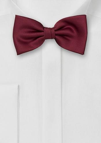 Gilet e Papillon Coordinato