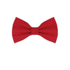 Papillon Rosso